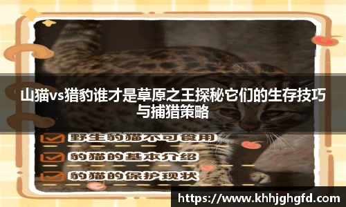 九游体育登录入口